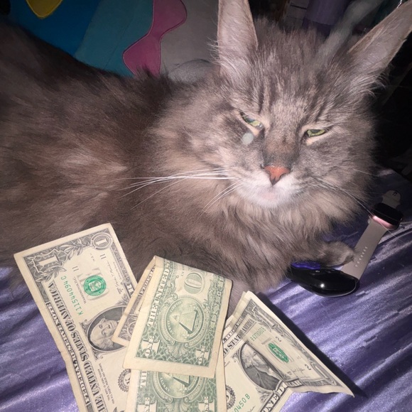 madisontonks